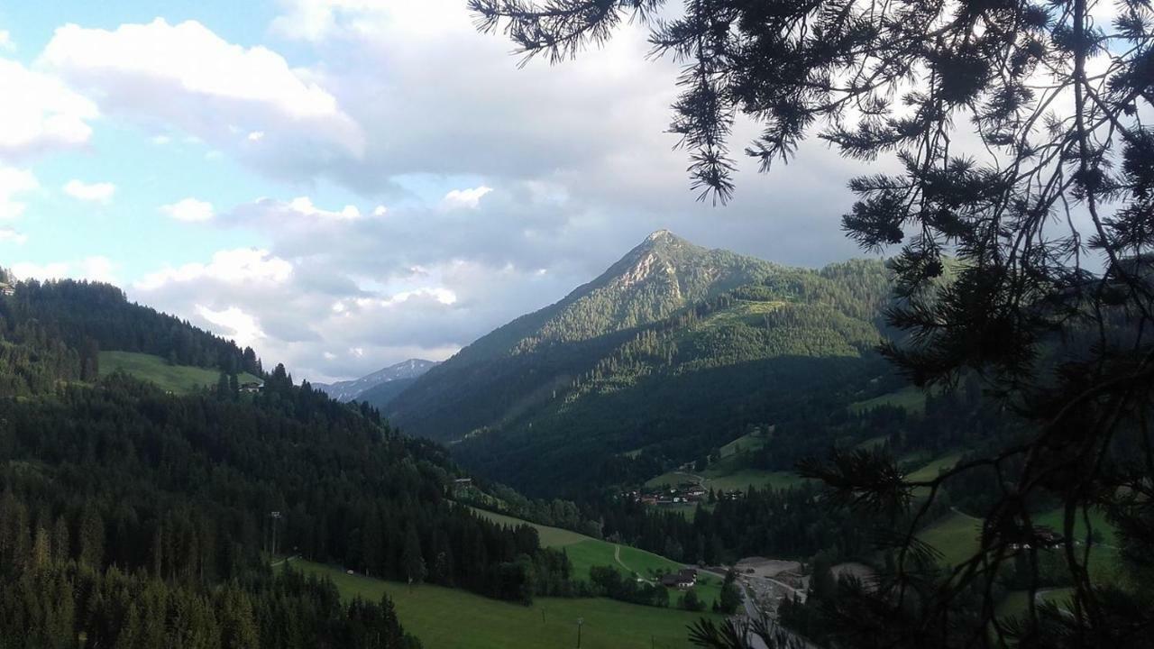 Appartement Bettina Mitterwallner Altenmarkt im Pongau Εξωτερικό φωτογραφία